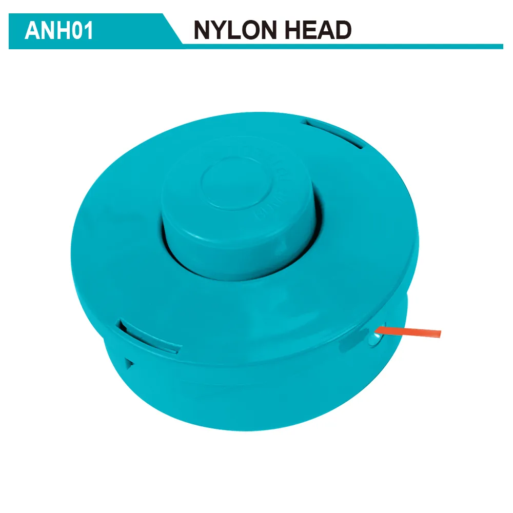 ANH01